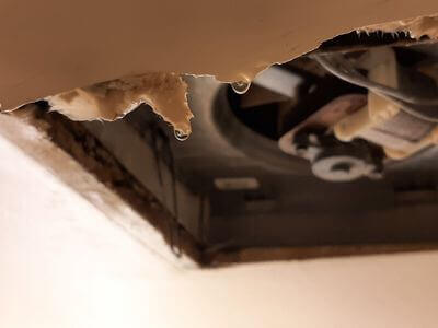 Professional emergency water damage services services in Scottsdale